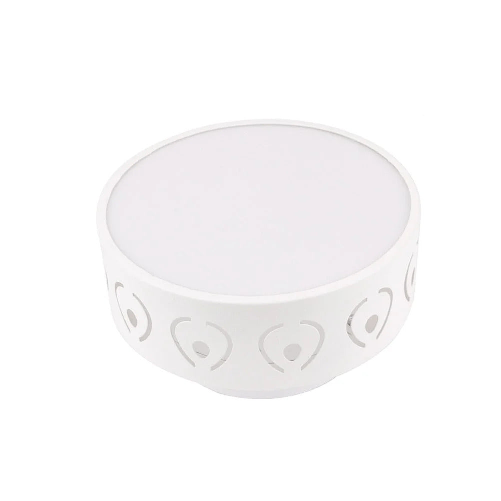 Elysian Flush Mount Ceiling Light | Warm & Cool White LED Fixture, Compact Design 2